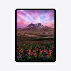 iPad Pro 13" (M4, 2024), Wi-Fi + Cellular, 2 Тб, серебристый