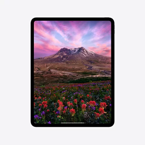 iPad Pro 13" (M4, 2024), Wi-Fi, 2 Тб, "черный космос"