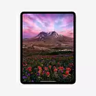 iPad Pro 13" (M4, 2024), Wi-Fi, 2 Тб, нанотекстурное стекло, "черный космос"