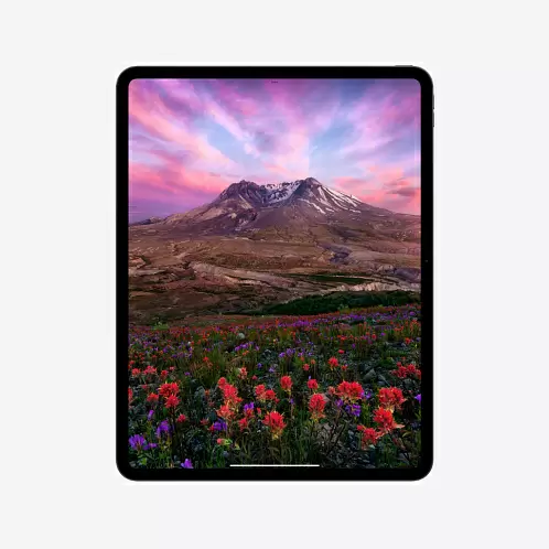 iPad Pro 13" (M4, 2024), Wi-Fi + Cellular, 2 Тб, нанотекстурное стекло, серебристый