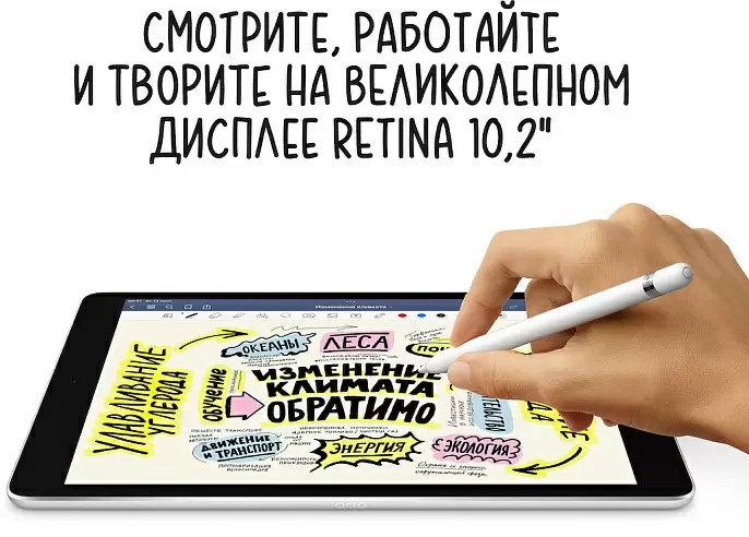 iPad 10,2" (2021), Wi-Fi + Cellular 256 Гб, «серый космос»