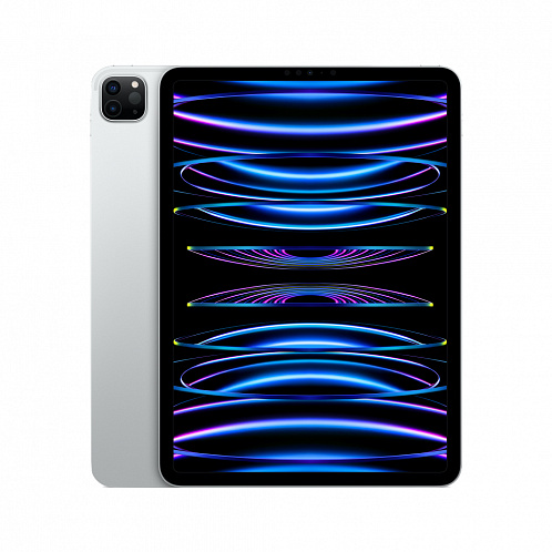 iPad Pro 11" (2022), Wi-Fi 2 Тб, серебристый