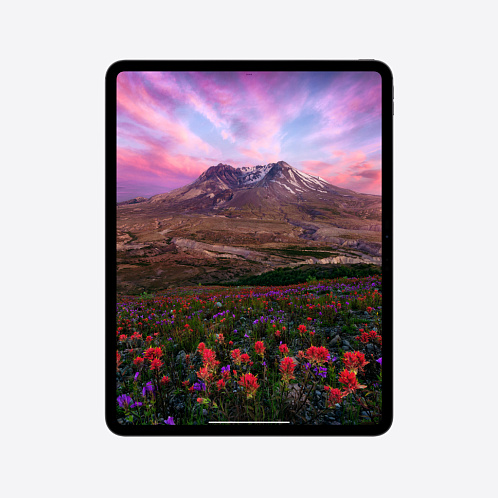 iPad Pro 13" (M4, 2024), Wi-Fi, 1 Тб, "черный космос"