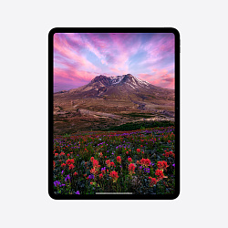 iPad Pro 13" (M4, 2024), Wi-Fi + Cellular, 2 Тб, нанотекстурное стекло, серебристый
