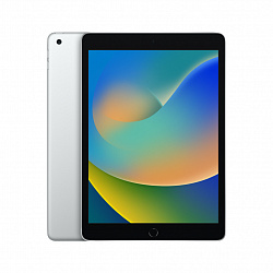 iPad 10,2" (2021), Wi-Fi 256 Гб, серебристый