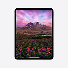 iPad Pro 13" (M4, 2024), Wi-Fi, 256 Гб, "черный космос"