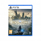 Игра для Sony PS5 Hogwarts Legacy, русские субтитры